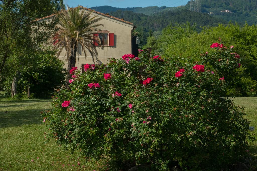 Resort La Ghiaia Sarzana Exterior foto